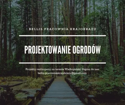 Projekt ogrodu, projektowanie ogrodów, ogrodnik Gniezno. Bellis Pracownia Krajobrazu